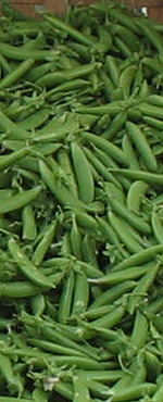 FarmGril peas