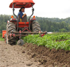 Cathryn Baerwald, Summer Run Farm