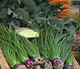 fresh FarmGirl produce